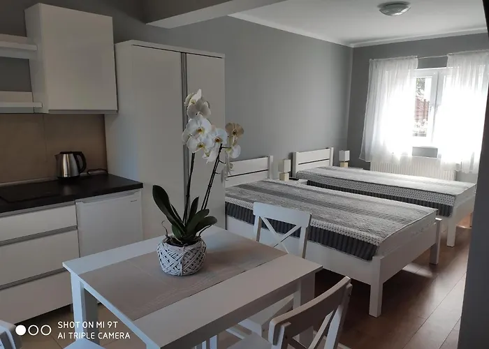 I Biala Hortensja 公寓