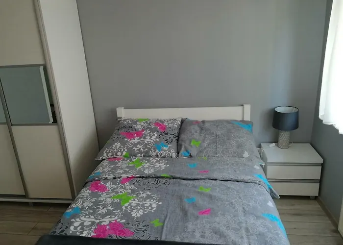 I Biala Hortensja * 尤斯托尼莫斯基