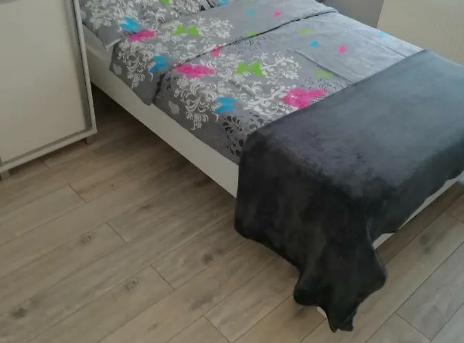 I Biala Hortensja * 尤斯托尼莫斯基