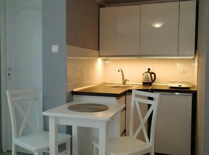 I Biala Hortensja 公寓 *