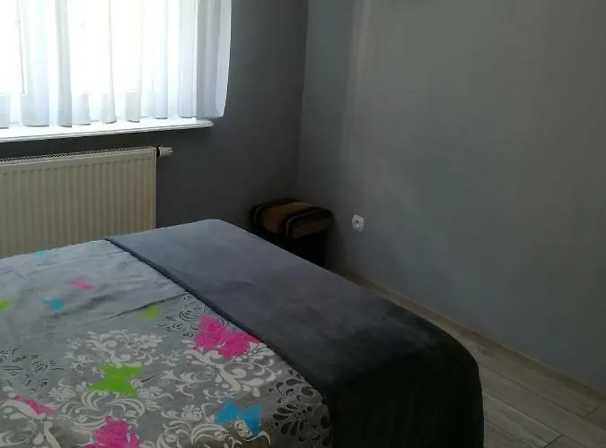 公寓 I Biala Hortensja *